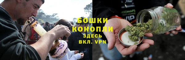 PSILOCYBIN Богородск