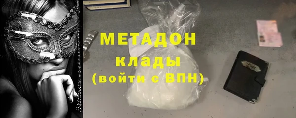 шишки Тайга