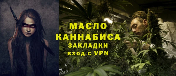 ECSTASY Богданович