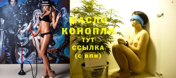 твердый Тавда