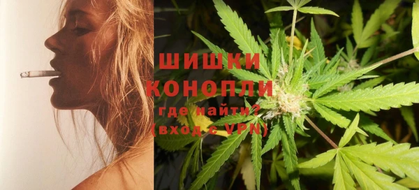 PSILOCYBIN Богородск