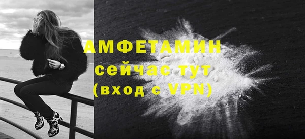 ECSTASY Богданович