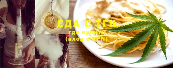 ECSTASY Богданович
